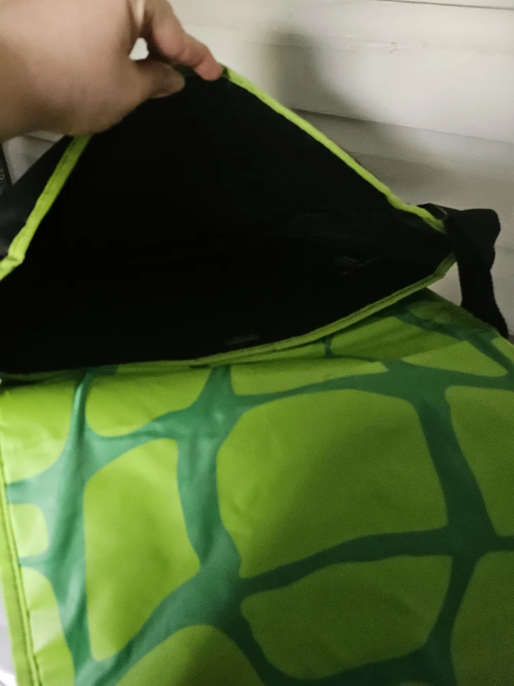 Teenage Mutant Ninja Turtles Colorblock Messenger Bag - Green/Multicolor